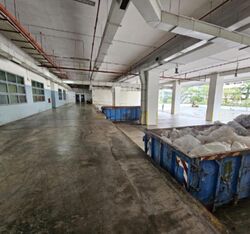 Serangoon North Avenue 5 (D19), Factory #495824121